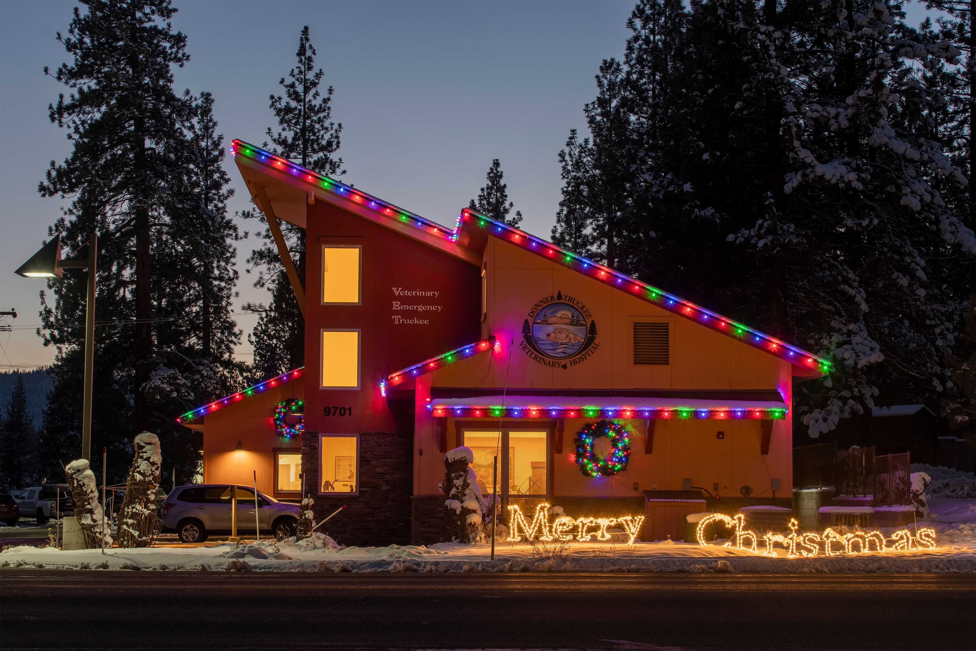 truckee vet with Christmas lighting