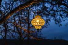 chandelier hanging from a tree at dusk