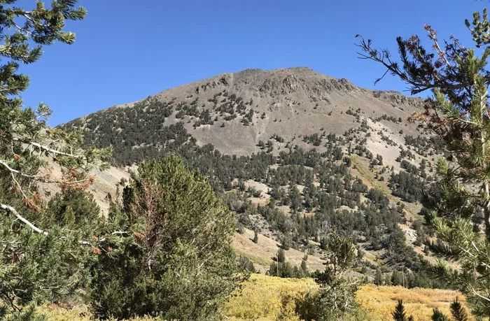 mountain landscape in Gelena Nevada