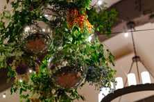 detail image of a disco ball chandelier