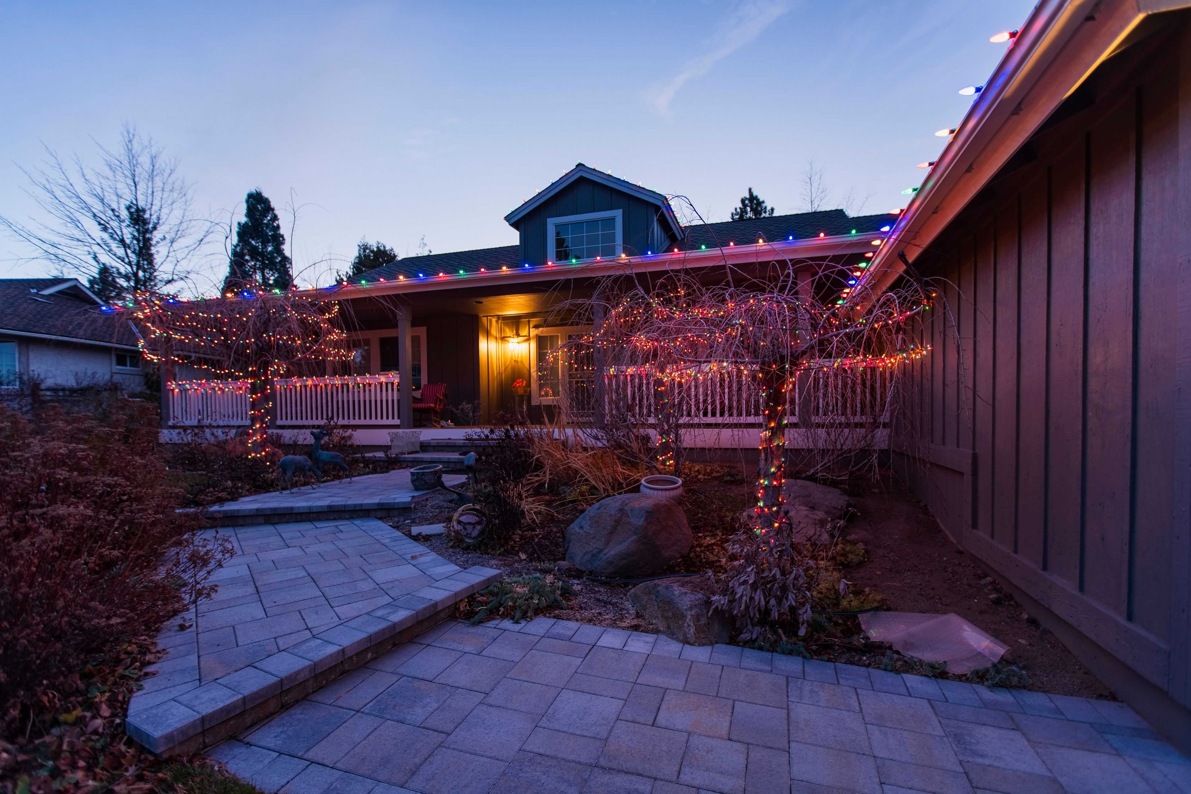 multi colored christmas lights wrapping trees in the front yard of a home in Reno