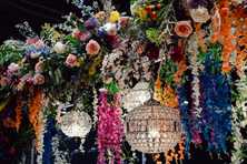 crystal chandeliers hanging below colorful flowers