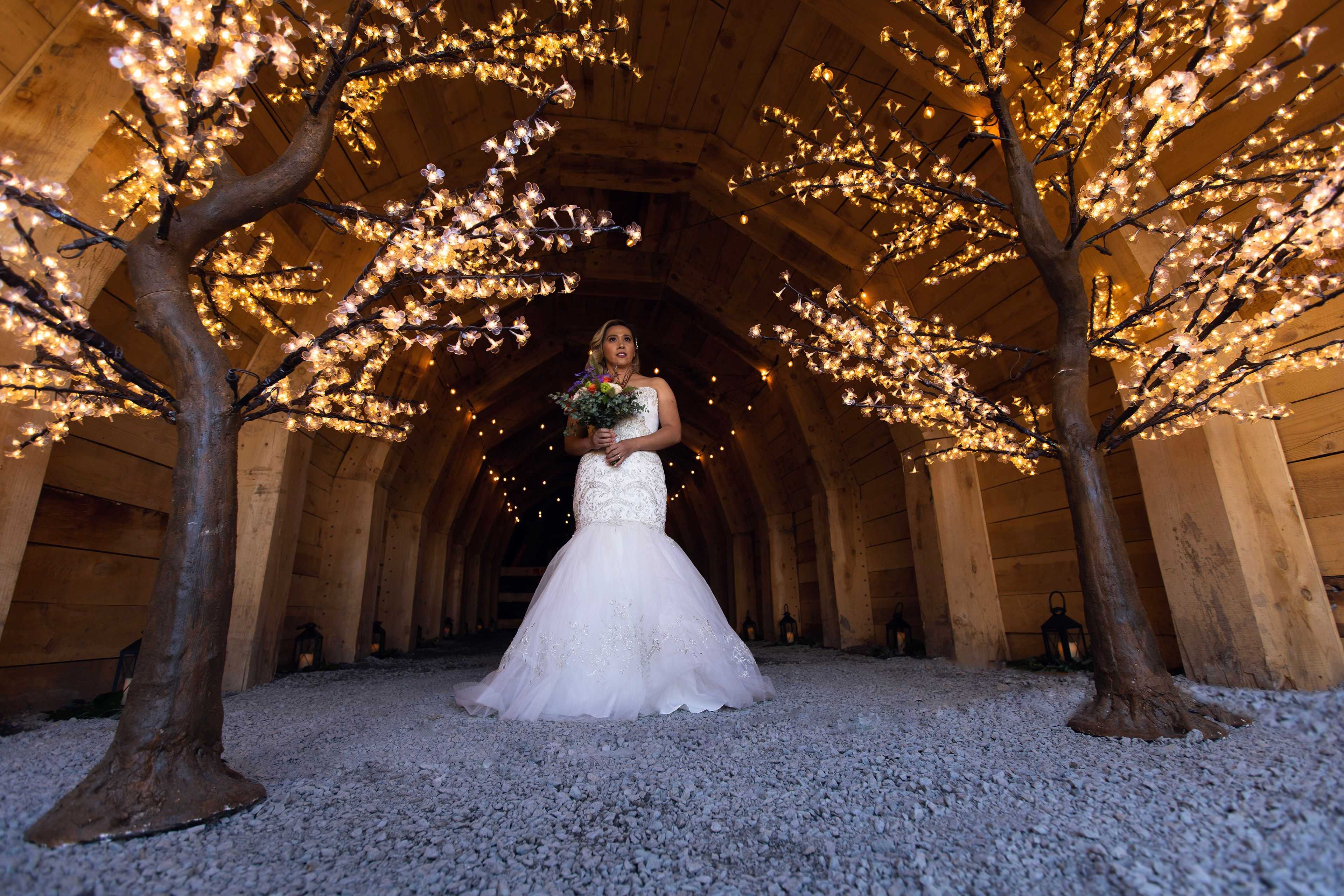 led cherry blossom trees lighting up the Sutro tunnels wedding venue with a bride