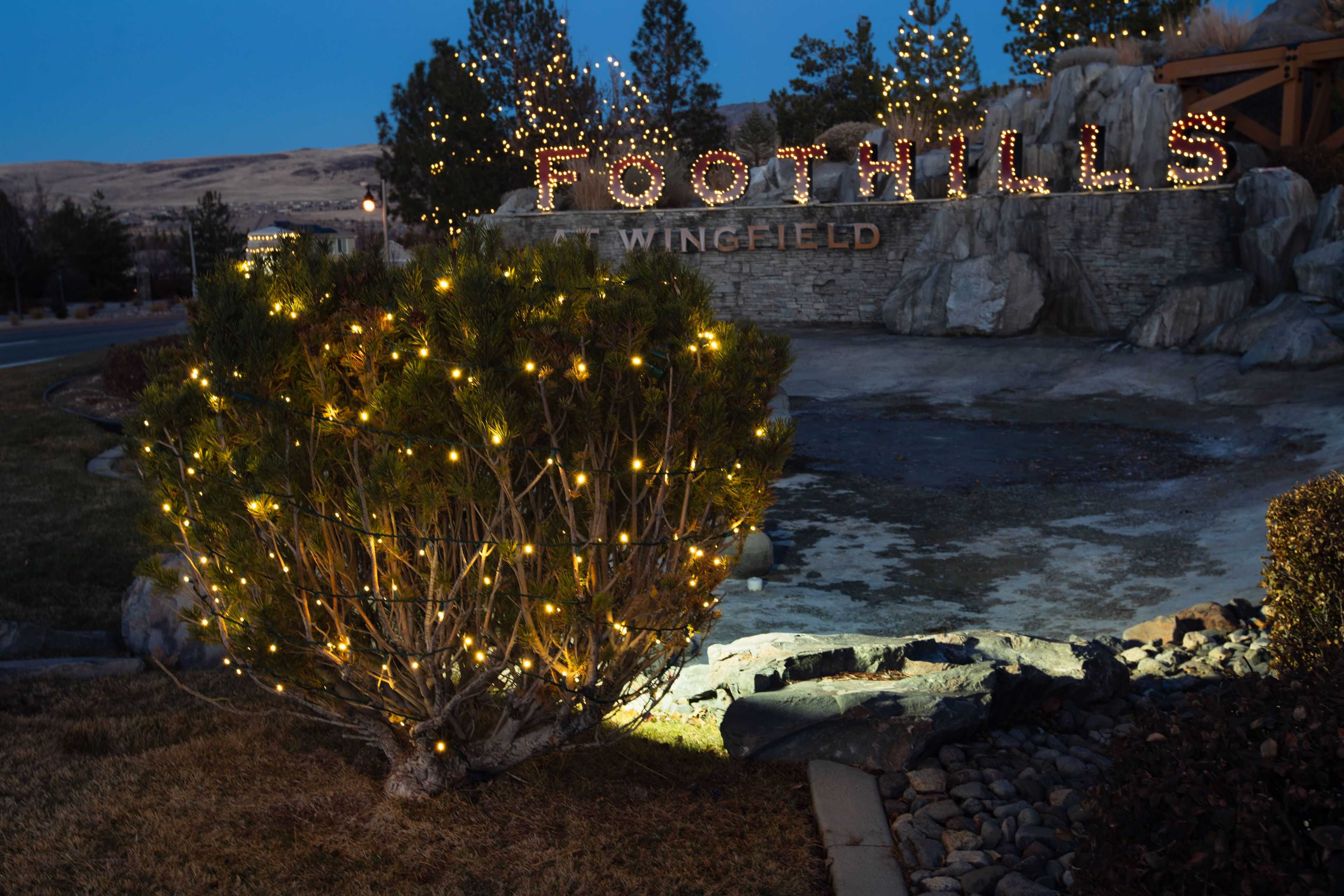 a small bush wrapped in holiday lights in front of a residential subdivision sign