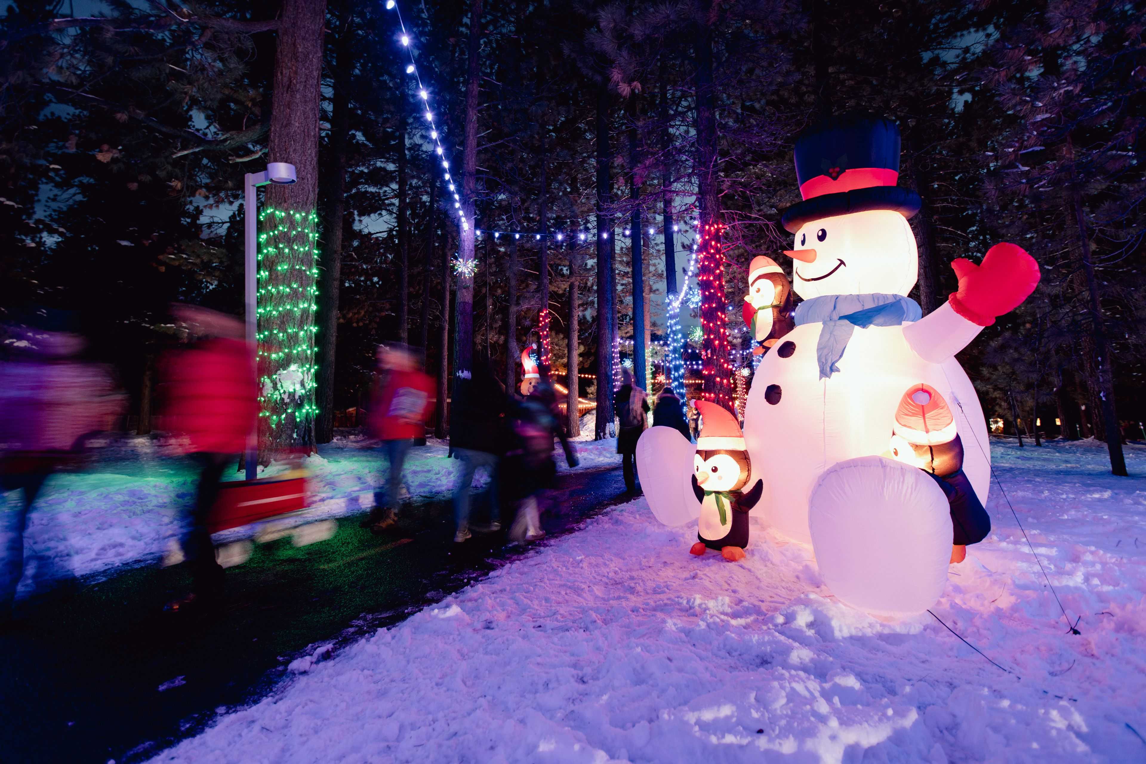winter wonder walkway overhead and tree lighting