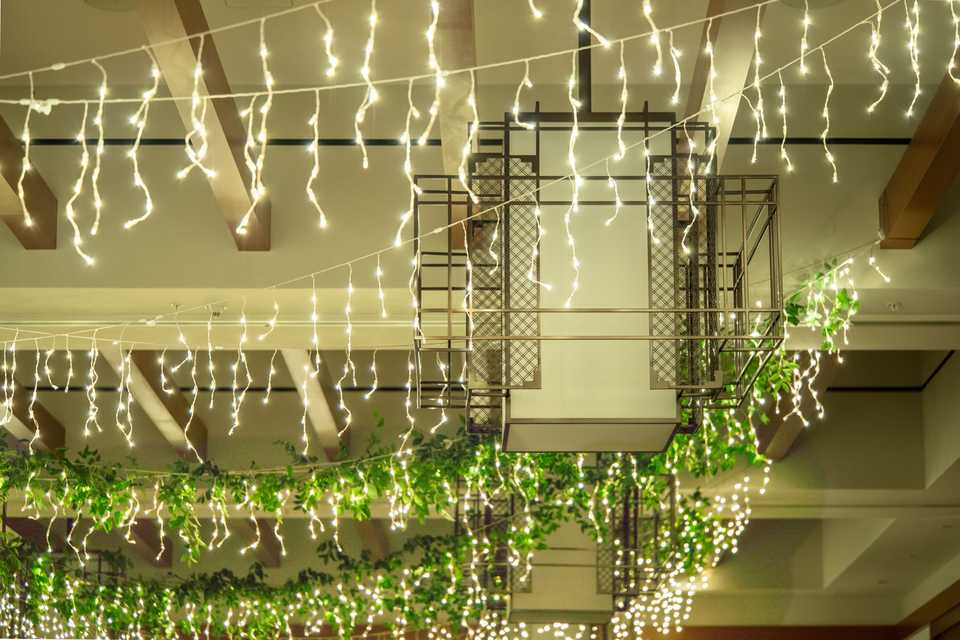 tight photo of wedding lighting