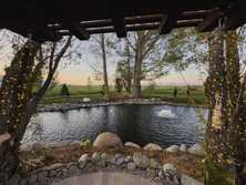 backyard pond with lighting wrapping trees and spanning over the water