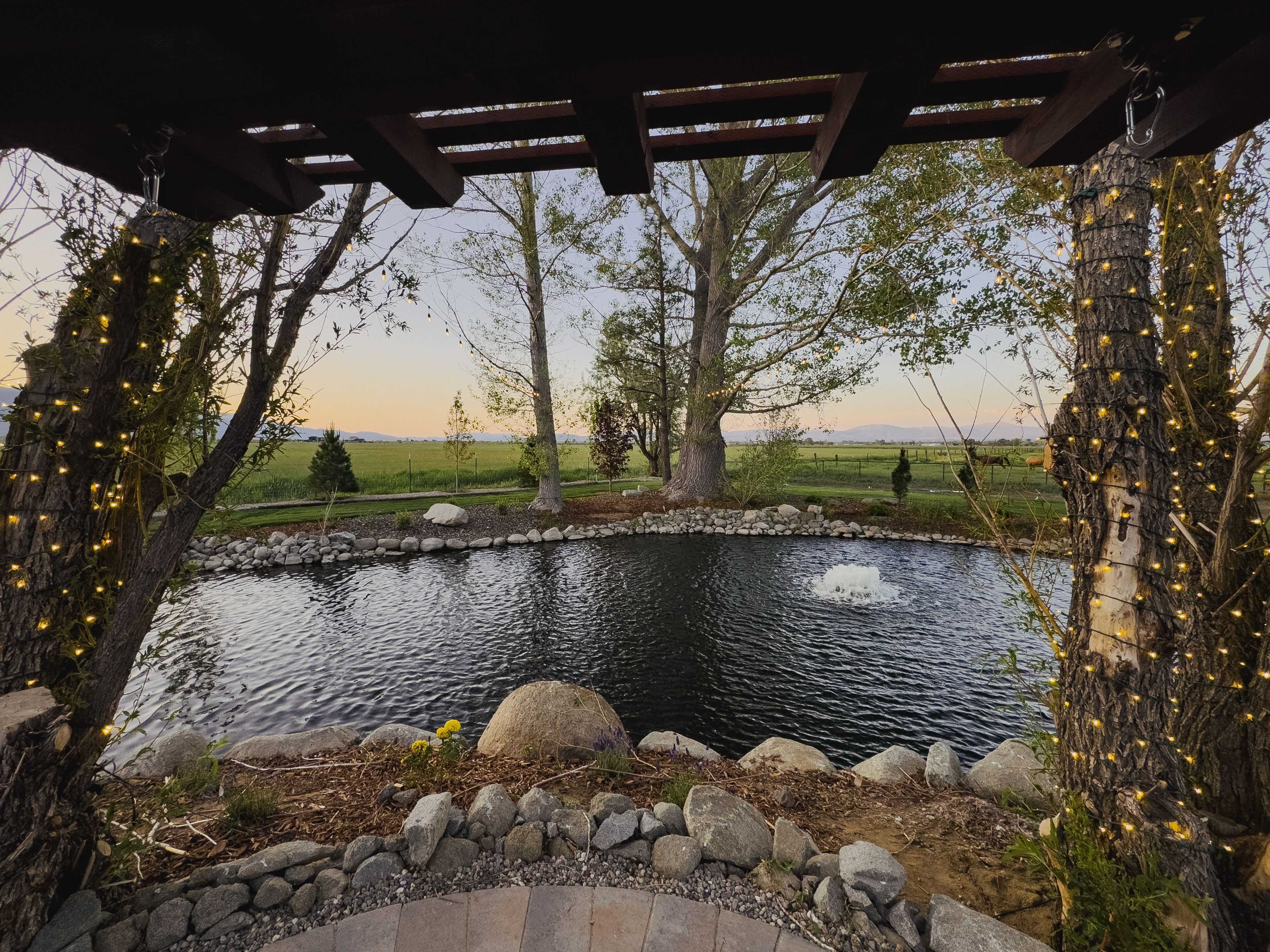 backyard pond with lighting wrapping trees and spanning over the water