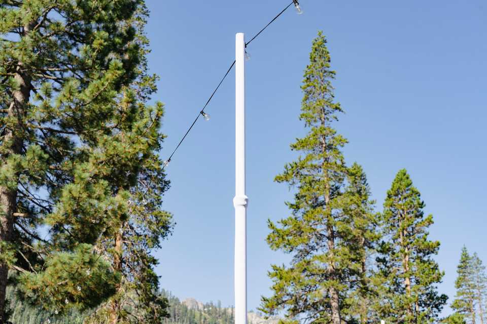 market light pole wrapped in white between pine trees in Tahoe