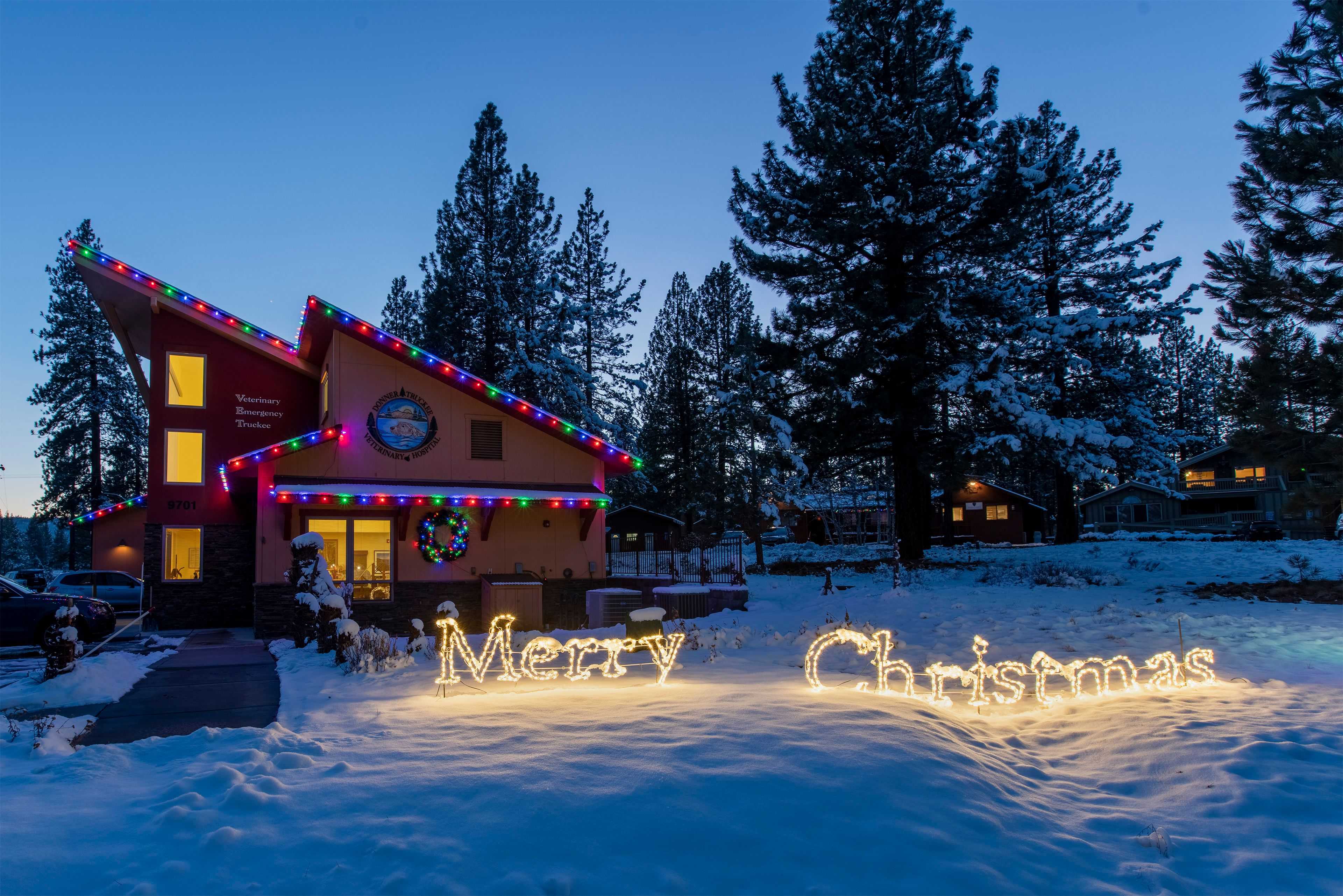 truckee vet with christmas lighting and signage