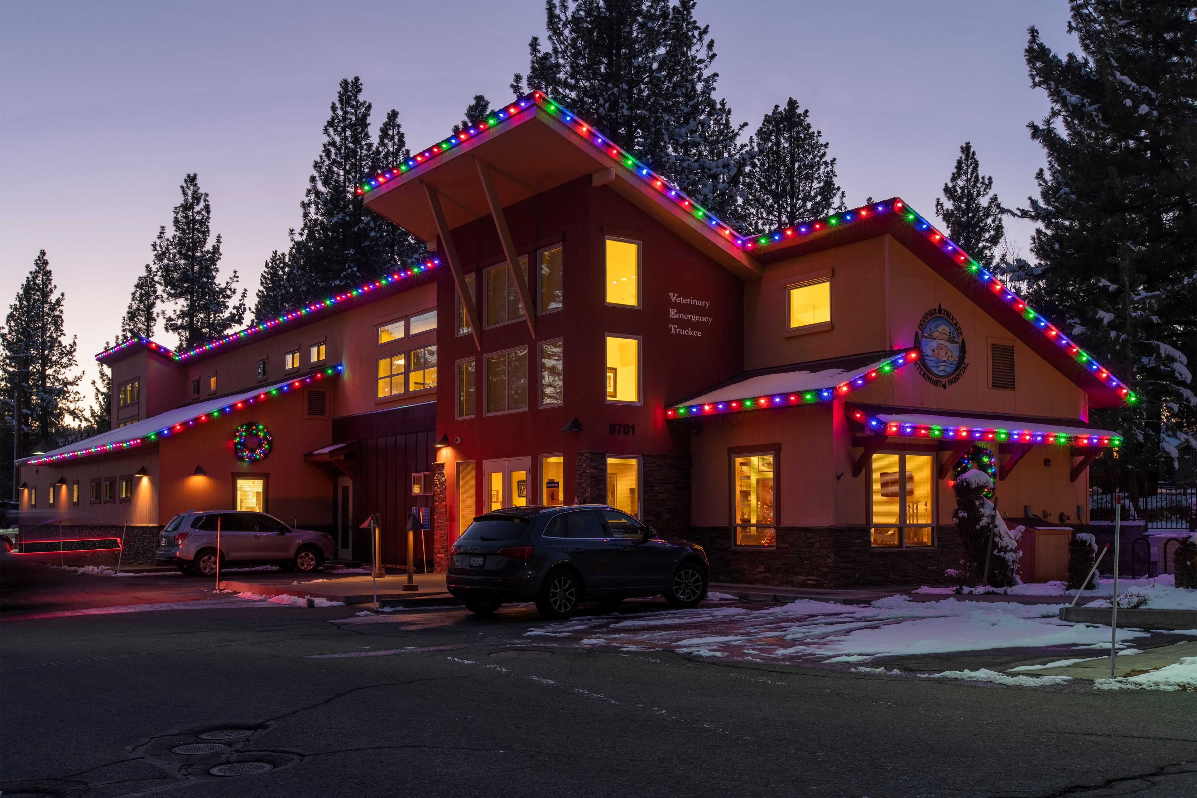 truckee vet with Christmas lighting