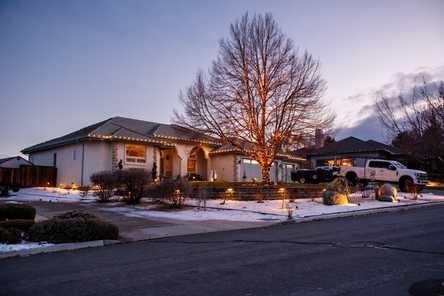 Xl Tree Tree Lighting | Sierra Lighting