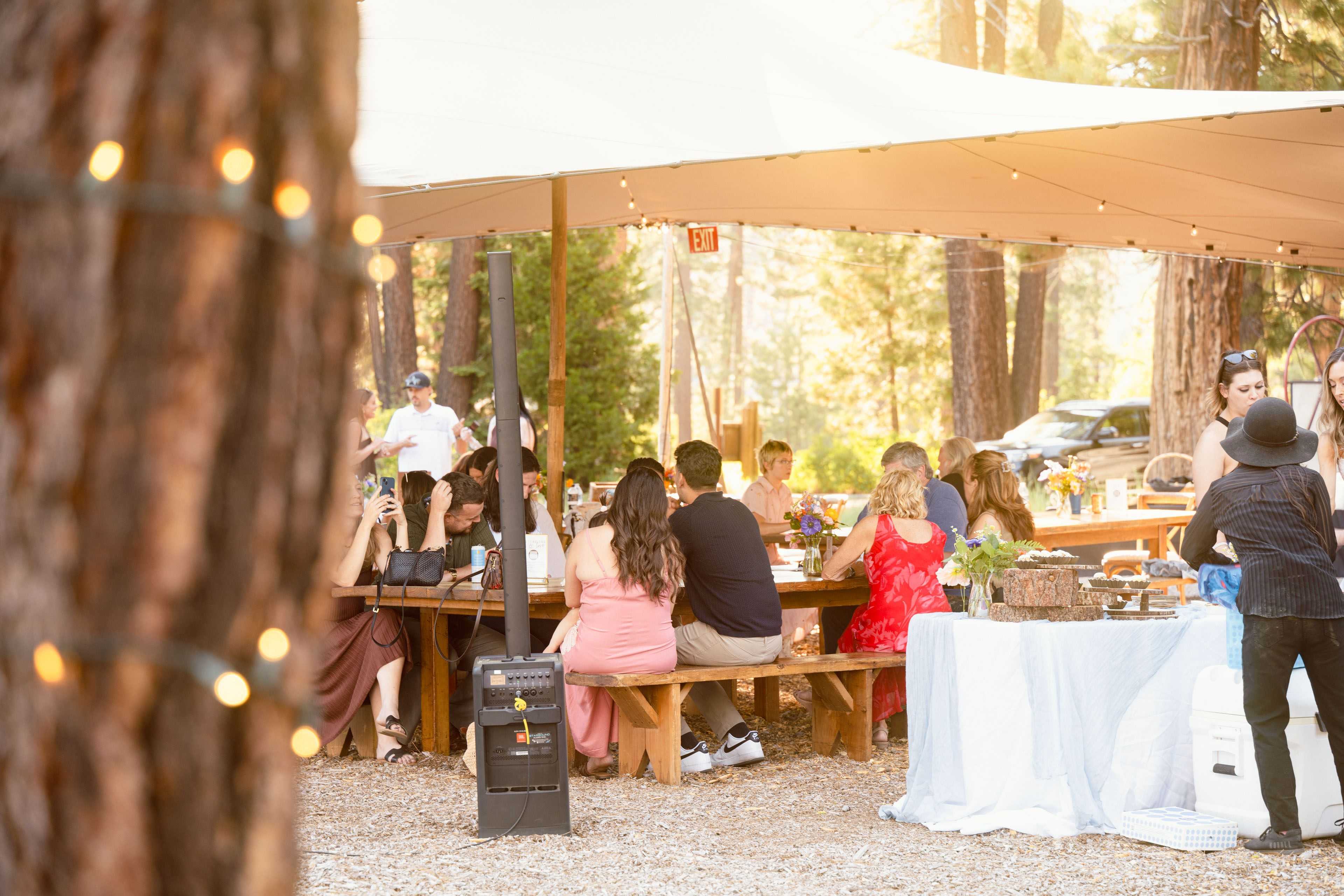 wedding reception amongst the forrest