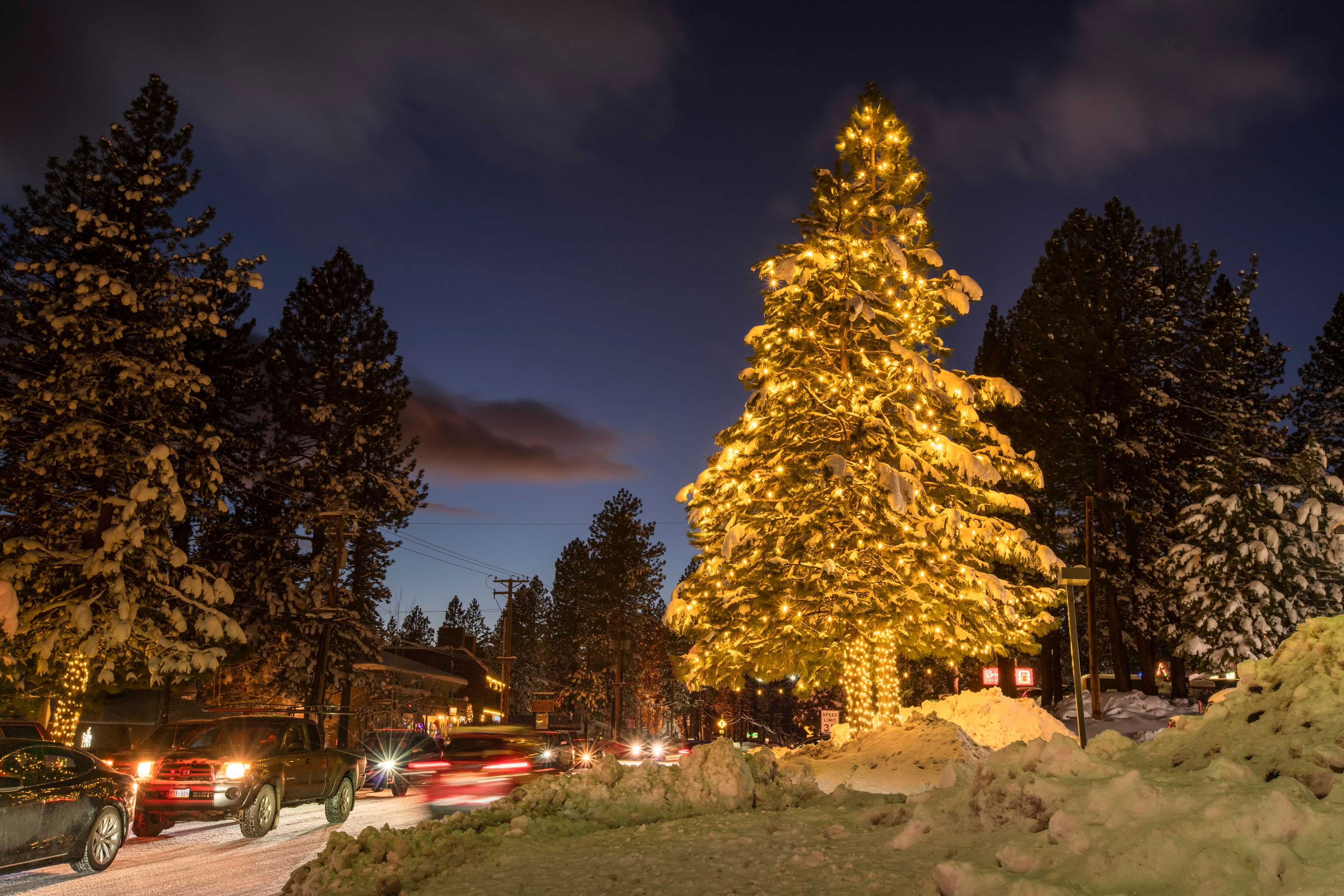 large commercial Christmas tree